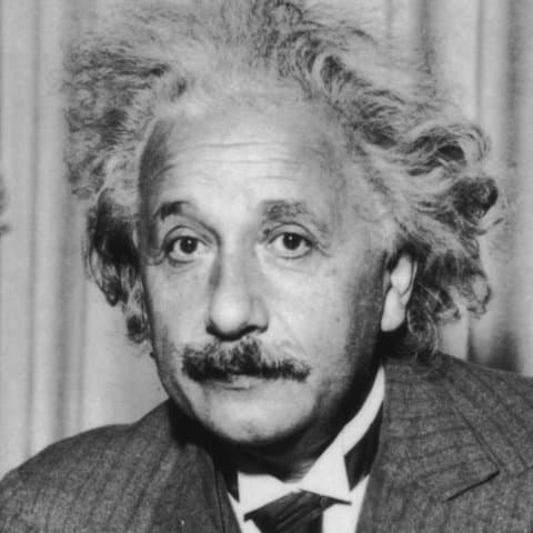Professor Einstein